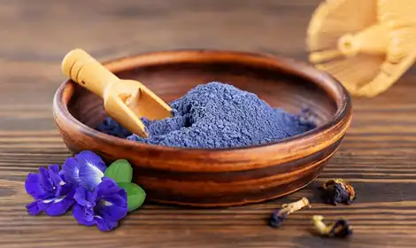 Antioxidant Potential of Blue Butterfly Pea Flower Powder: Benefits and Applications